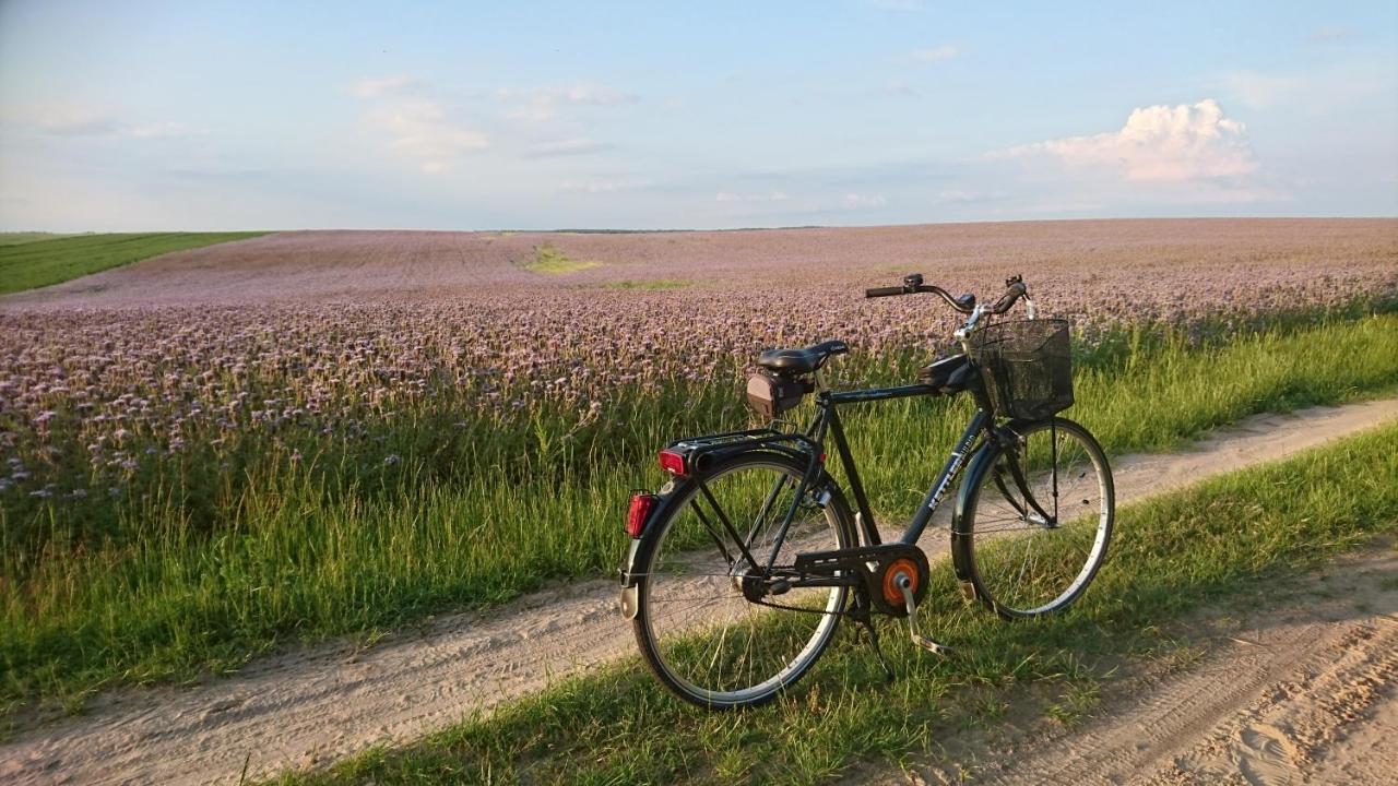 Domek Letniskowy Dario Ińsko Exteriör bild
